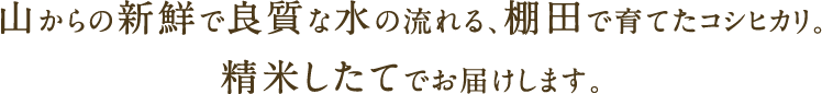 山からの新鮮で良質な水の流れる、「幻の棚田」で育てたコシヒカリ。精米したてでお届けします。